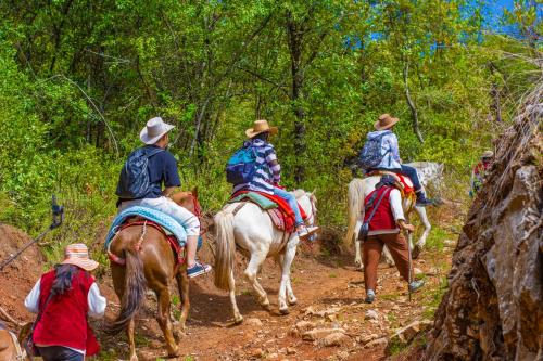 a group of people riding horses on a trail at Arro Khampa By Zinc Journey Shangri-la in Shangri-La