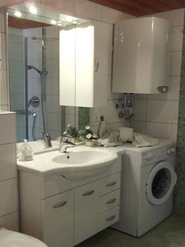 a bathroom with a sink and a washing machine at Gästehaus Schmid & Reitzner in Immenstadt im Allgäu