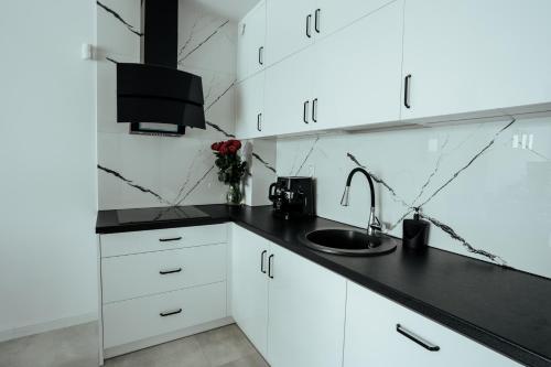 Kuchyň nebo kuchyňský kout v ubytování Apartamenty Z Widokiem Na Mazury Jezioro Czos Sauna Jacuzzi