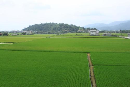 a field of green grass with a house in the middle at Aqua Star Villa Homestay in Dongshan