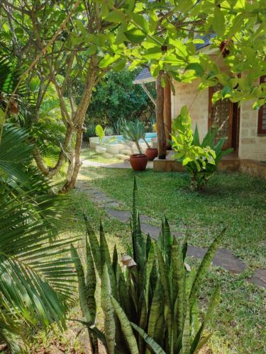 a garden with trees and plants in a yard at private pool cottage diani beach in Diani Beach