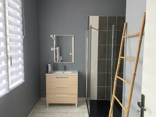 ein Badezimmer mit Waschbecken und Dusche in der Unterkunft Gîte les Retrouvailles in Saint-Quentin-Lamotte-Croix-au-Bailly