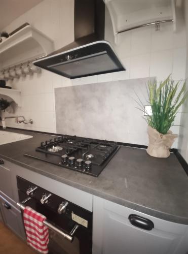 a kitchen with a stove top with a plant on the counter at Apartamento Capelot in Jaca