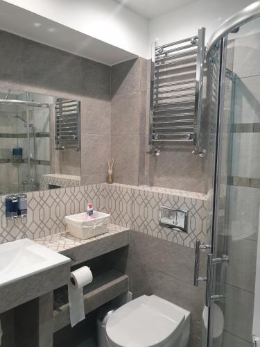 a bathroom with a toilet and a sink and a shower at Comfortable rooms in the house in Oxford