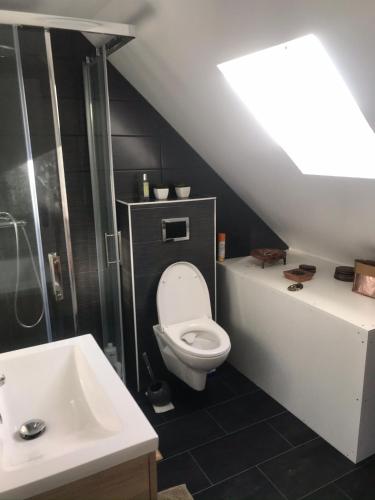 une salle de bain avec toilettes et lavabo dans l'établissement Etel Appartement lumineux emplacement idéal, à Étel