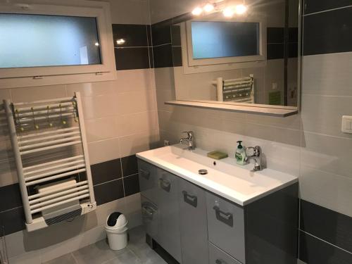 BuissonにあるGîTE du GOUR du PEYROLの洗面台と鏡のあるバスルーム