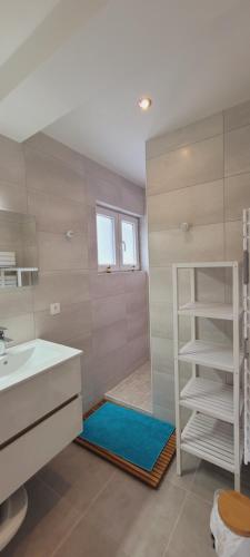 ein Bad mit einem Waschbecken und einer Dusche mit einem Spiegel in der Unterkunft La parenthèse in Honfleur
