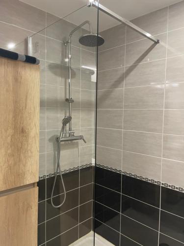 La salle de bains est pourvue d'une douche avec une porte en verre. dans l'établissement BORDEAUX CENTRE BELLE DUPLEX, à Bordeaux