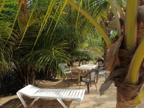 a patio with chairs and tables and a palm tree at AKINE TI KASSO piscine in Diembéreng