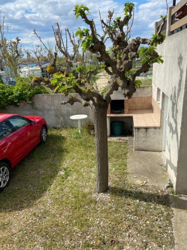 Zahrada ubytování Appt avec parking, clim, wifi à 50 m de la plage