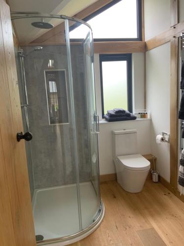 a bathroom with a shower and a toilet at Little Oak Lodge in Hailsham