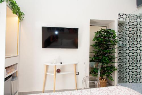 a bedroom with a tv on a wall with a plant at Arechi Room in Salerno