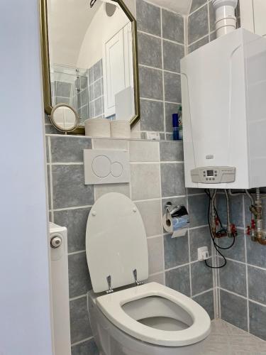a small bathroom with a toilet and a mirror at Bezauberndes Gästehaus in Satov in Šatov