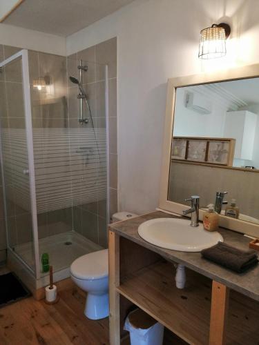 une salle de bain avec un lavabo, des toilettes et un miroir dans l'établissement La Dolce Vita Studio indépendant avec terrasse, à Vals-les-Bains