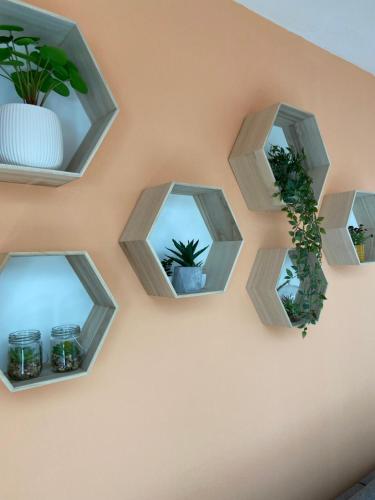 a wall with four shelves with potted plants at Irini Apartments in Kavala