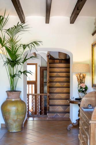 a hallway with a large vase with a plant in it at Finca Ca'n Quatre in Sóller