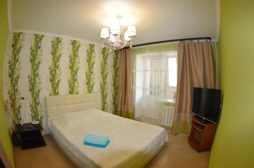 een slaapkamer met een bed en een tv. bij Apartamenty na NIzhney Dubrove 19 in Vladimir