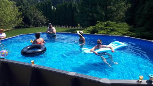 a group of people in a swimming pool at Villa Zala in Zalakaros