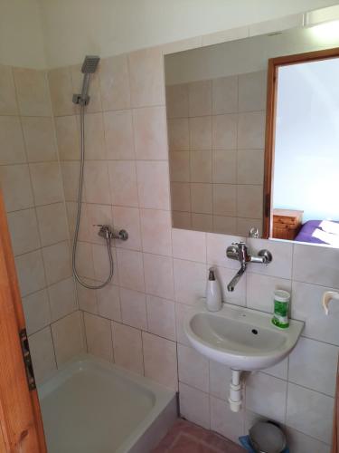 a bathroom with a sink and a shower at Villa Zarra in Habovka