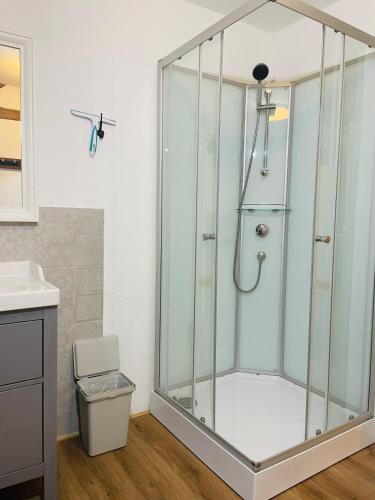 a shower with a glass enclosure in a bathroom at Ferienhaus Backesgarten für 22 Personen in Neichen