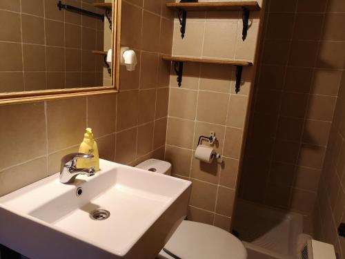 a bathroom with a sink and a toilet and a mirror at Casas del Alto Tajo - La Casa Blanca in Ablanque