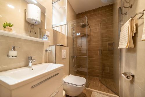 a bathroom with a toilet and a sink and a shower at House Daniva in Okuklje