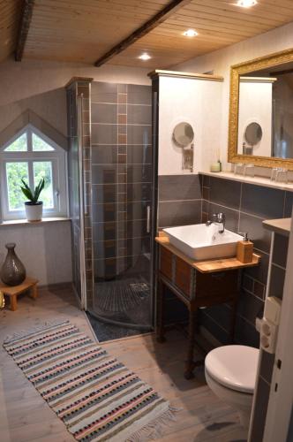 a bathroom with a shower and a sink and a toilet at Bodasjön in Boda Glasbruk