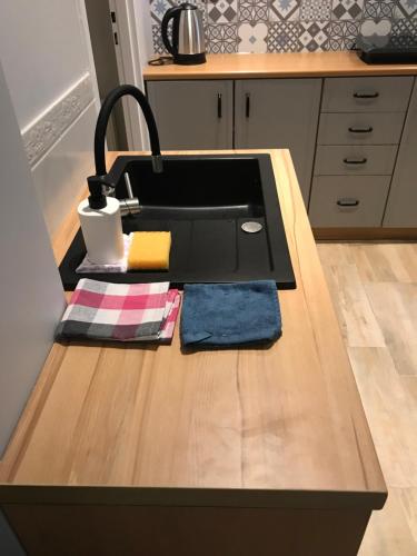 Kuchyňa alebo kuchynka v ubytovaní Zaciszny Apartament w Zdroju