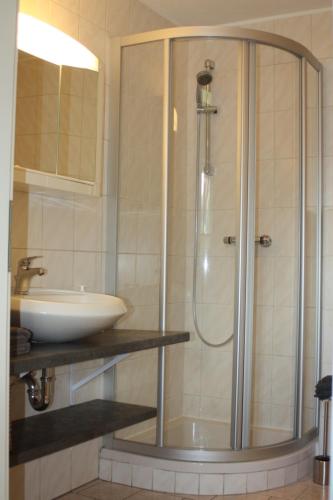 La salle de bains est pourvue d'une douche et d'un lavabo. dans l'établissement Ferienwohnung Friedrich, à Mildenau