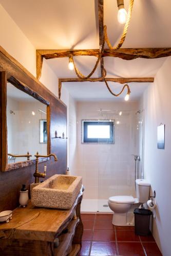 a bathroom with a sink and a toilet and a mirror at Quinta Ze do Coval in Arouca