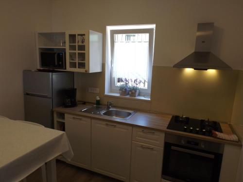 a kitchen with a sink and a refrigerator and a window at Apartments Villa Elma in Mošćenička Draga