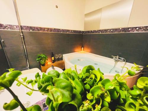 baño con bañera y maceta en Trevi Fountain Luxury Guest House, en Roma