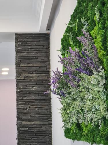 a vertical garden on a wall with purple flowers at Pensiunea Lavanda, Piatra-Neamț in Piatra Neamţ