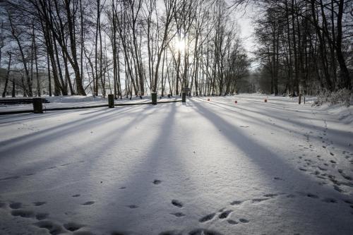 a snow covered park with trees and the sun in the distance at Waldhotel Eiche in Burg