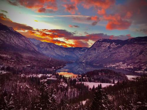 Gallery image of Residence Aurora, Bohinj in Bohinj