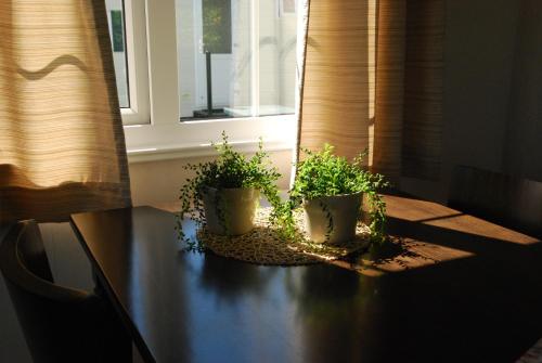 Gallery image of Minicamping De Visser in Zoutelande