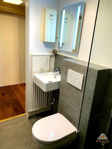 a bathroom with a white toilet and a sink at Rhein Apartment Souterrain Study in Vallendar