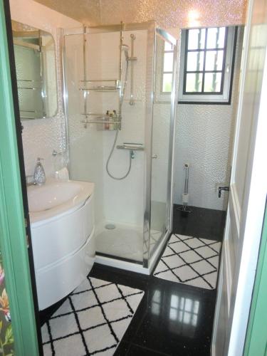 La salle de bains est pourvue d'une douche et d'un lavabo. dans l'établissement Chambre d'hôtes LA BELLE SAISON, à Villedômer