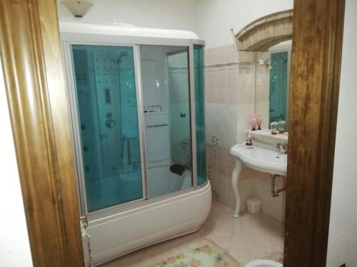 La salle de bains est pourvue d'une douche et d'un lavabo. dans l'établissement Confortevole locale, à Rosignano Marittimo