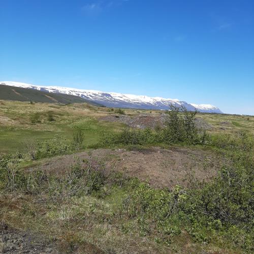 Un paisaje natural cerca de la casa de huéspedes