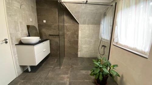 a bathroom with a sink and a glass shower at Bodza Vendégház in Balatonfüred