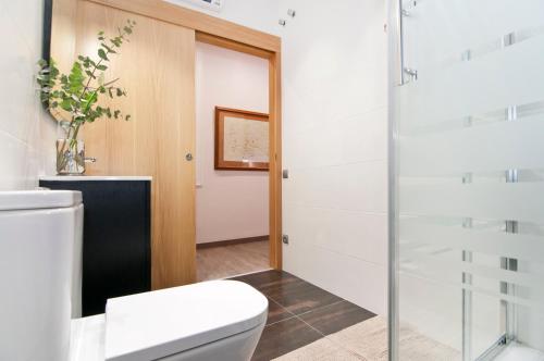 a bathroom with a toilet and a glass shower at New flat in the center-Eixample Passeig de Gracia in Barcelona