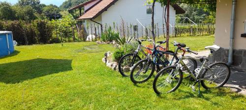 a group of bikes parked next to a house at Къща за гости "Край Реките" in Apriltsi