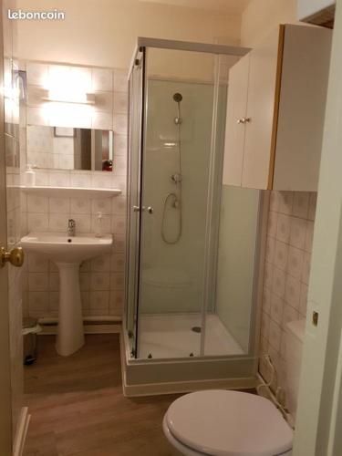 une salle de bain avec une douche, des toilettes et un lavabo dans l'établissement AJACCIO VIELLE VILLE IMPERIALE GRAND STUDIO POUR 3 a 4 PERSONNES a PROXIMITE DU PORT ET DES PLUS BELLES PLAGES, à Ajaccio