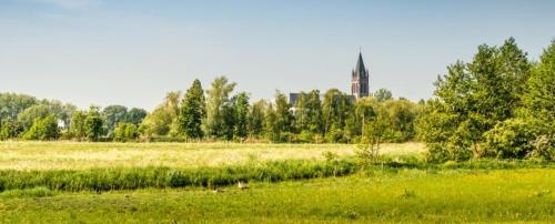 a field of grass with a clock tower in the background at Chez Paulette in Avelgem