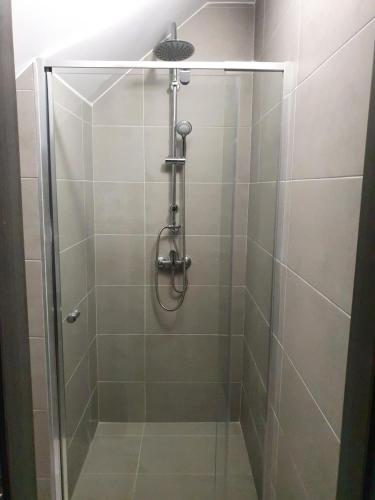 a shower stall with a glass shower door at Tiszavirág Üdülőház in Kisköre