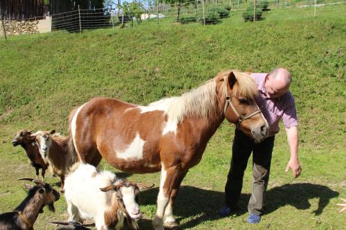 a woman standing next to a horse and some goats at Ferienwohnung Kleissner in Großklein