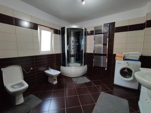 Un baño con inodoro, ducha y lavabo. en Casa Danci Centru, en Borşa