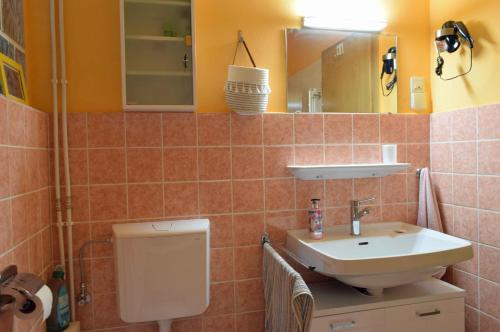 ein Badezimmer mit einem Waschbecken, einem WC und einem Spiegel in der Unterkunft Elbwald-Studio in Hitzacker