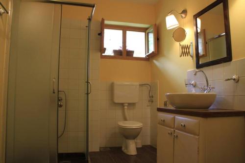 a bathroom with a toilet and a sink and a shower at Apartman Brankova kuća in Sremski Karlovci